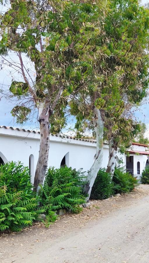 Camping Village Torrenova Cirò Marina Extérieur photo